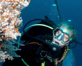   Diver soft coral  
